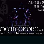 最高にダンスが楽しめる舞台！！人が、ダンスが輝く“ODORIGOKORO Vol.13″！！