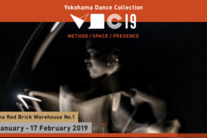 記事「国際ダンスフェスティバル「横浜ダンスコレクション2019」のチケットが発売開始!!」の画像