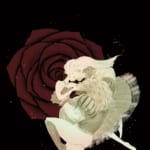 大和シティバレエ 冬季公演『美女と野獣』開催決定!